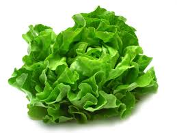 Romaine Lettuce